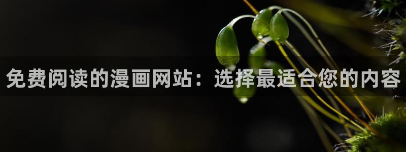 天堂漫画免费下载入口：免费阅读的漫画网站：选择最适合您的内容