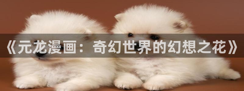 天堂漫画在线免费观看：《元龙漫画：奇幻世界的幻想之花》
